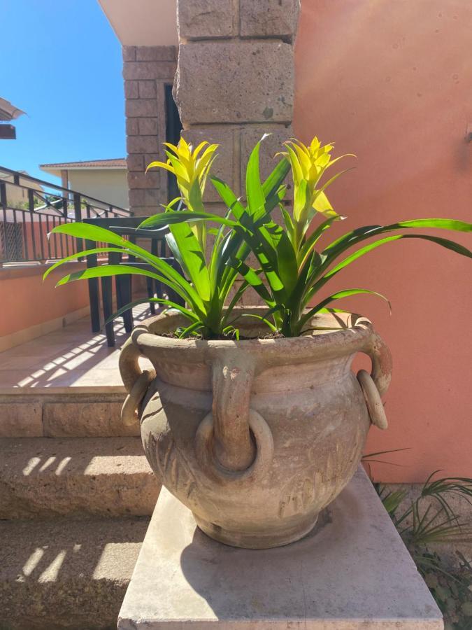 Villa Marogna Alghero Ngoại thất bức ảnh